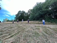 Vogelwiese Eisbaeren 2023